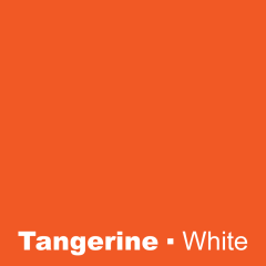 Plastic Tangerine Engraved White Wetag