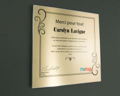 Plaques de reconnaissance - Simplicitas modèle C