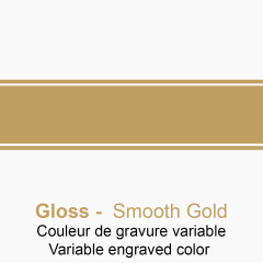 Plastic Reverse LaserMark Gloss Engraved Smooth Gold - sample
